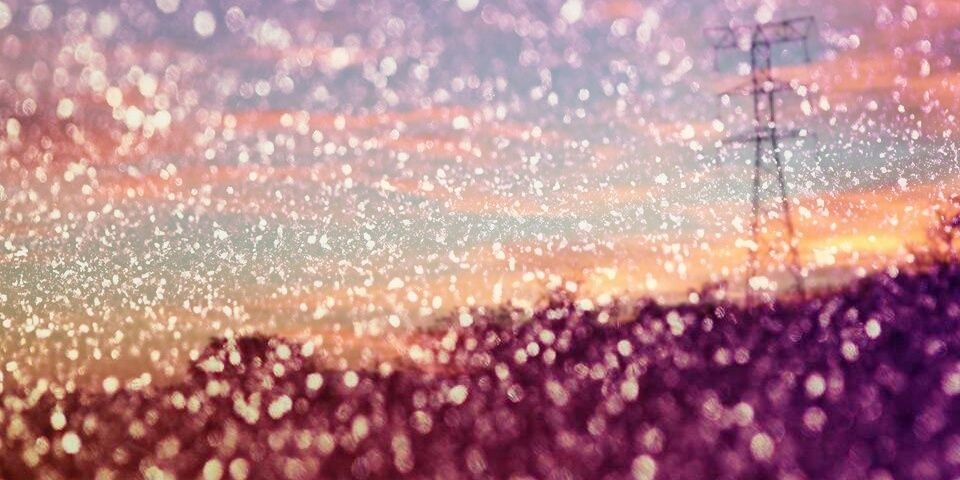 Trish_Chaturgun's profile banner image