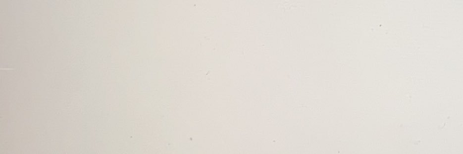 normal banner
