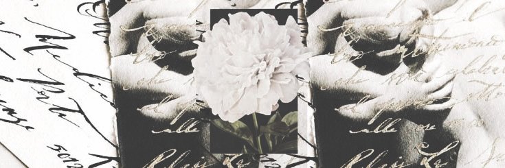 ؘanya banner