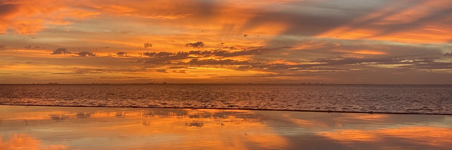 Shayan Falasiri banner