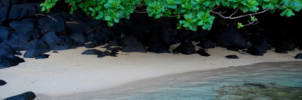 Photospook's profile banner image