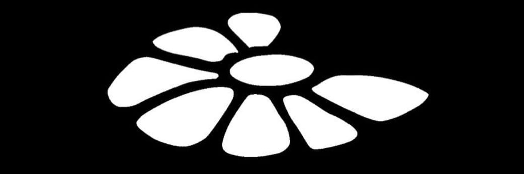 acoroneluy's profile banner image
