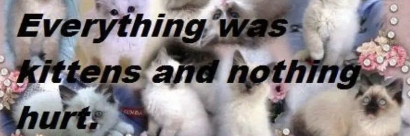 2428 banner