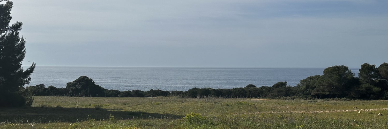 Original Wild banner