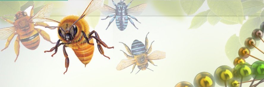 ResearchBeeline's profile banner image