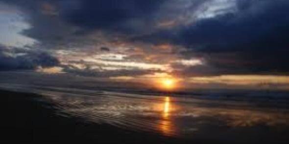 Linda R McKee banner