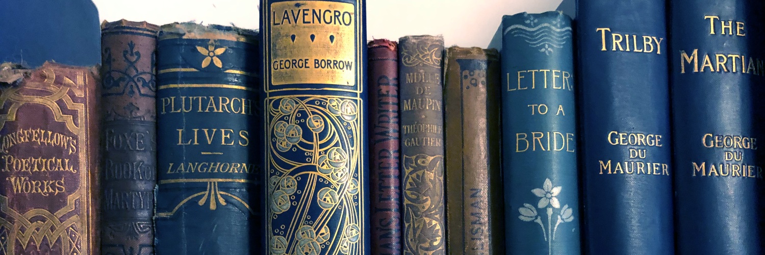 Dr Ailsa Boyd banner