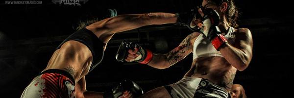 t_bryony Profile Banner