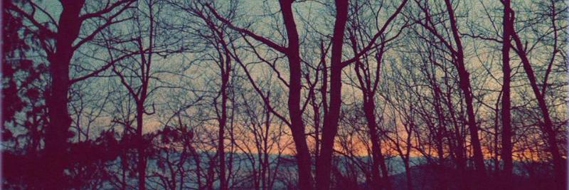 NancyErrichetti's profile banner image