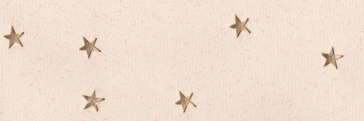 ari banner