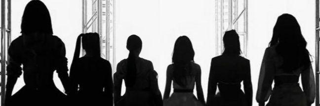 zari's banner