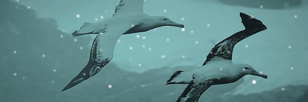 ErkenciLuz 🌟 banner