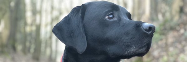 maria_smith999 Profile Banner