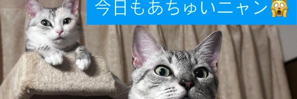 Mayumintaro_ Profile Banner