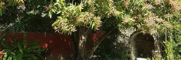 JosefinAlmanzar Profile Banner