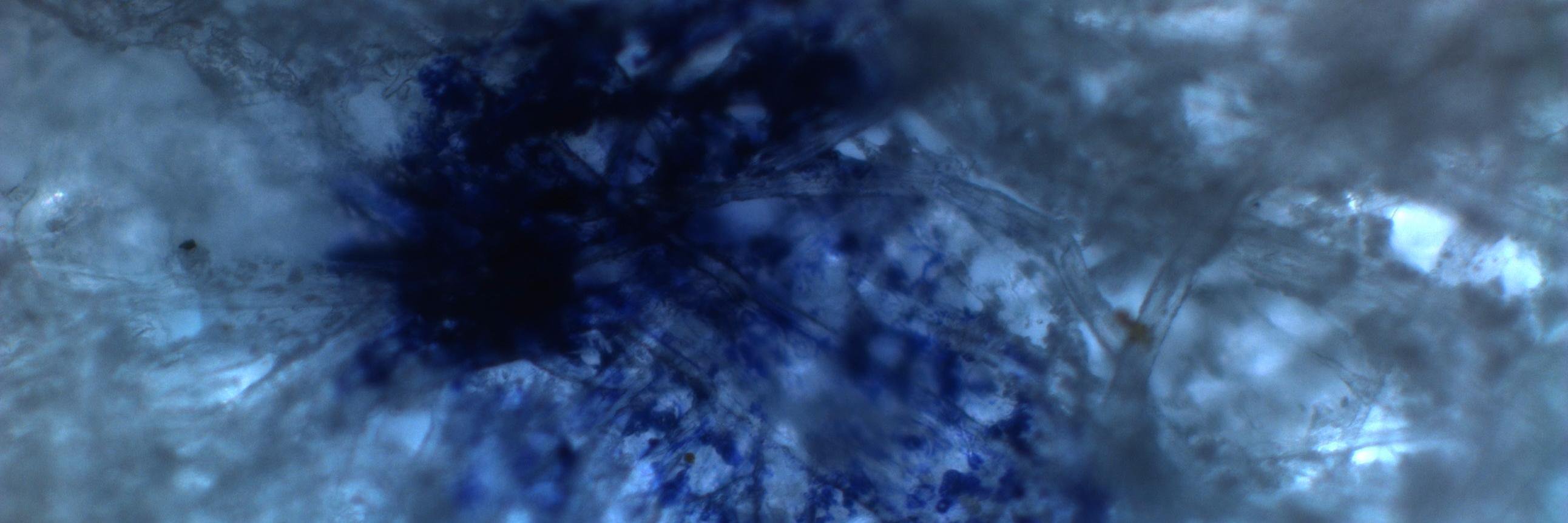 PiereMari's profile banner image