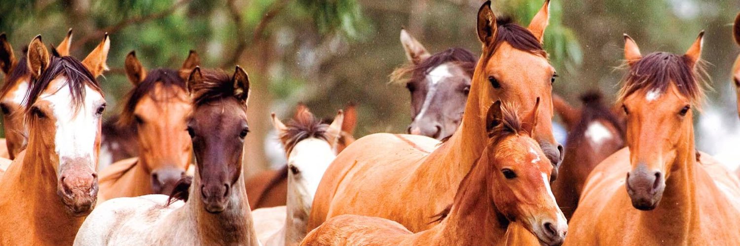 kitito17's profile banner image