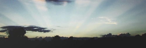 damnitstylesx's profile banner image