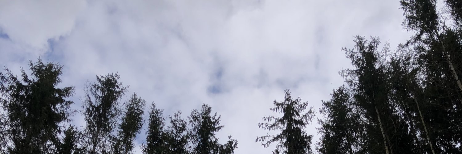 Emma Herrmann banner