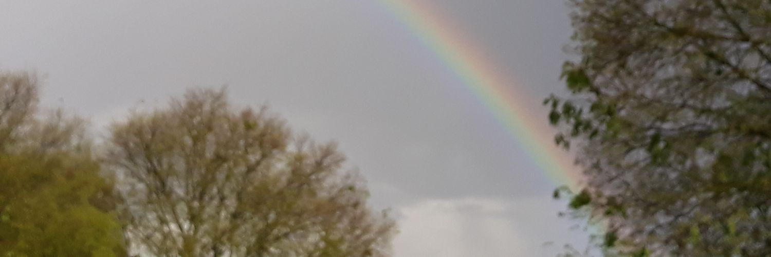 imgreis's profile banner image