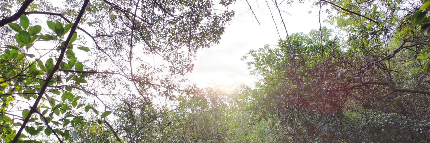 TOMMY___THOMAS's profile banner image