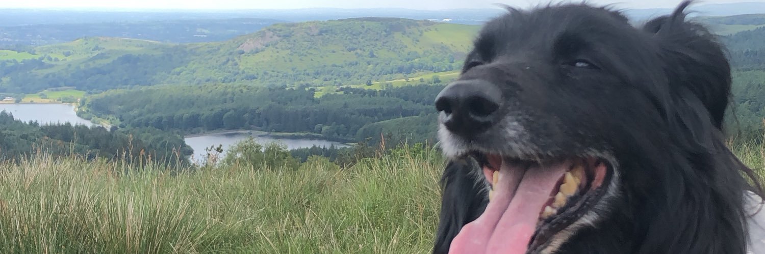 Jake_Eastham99's profile banner image