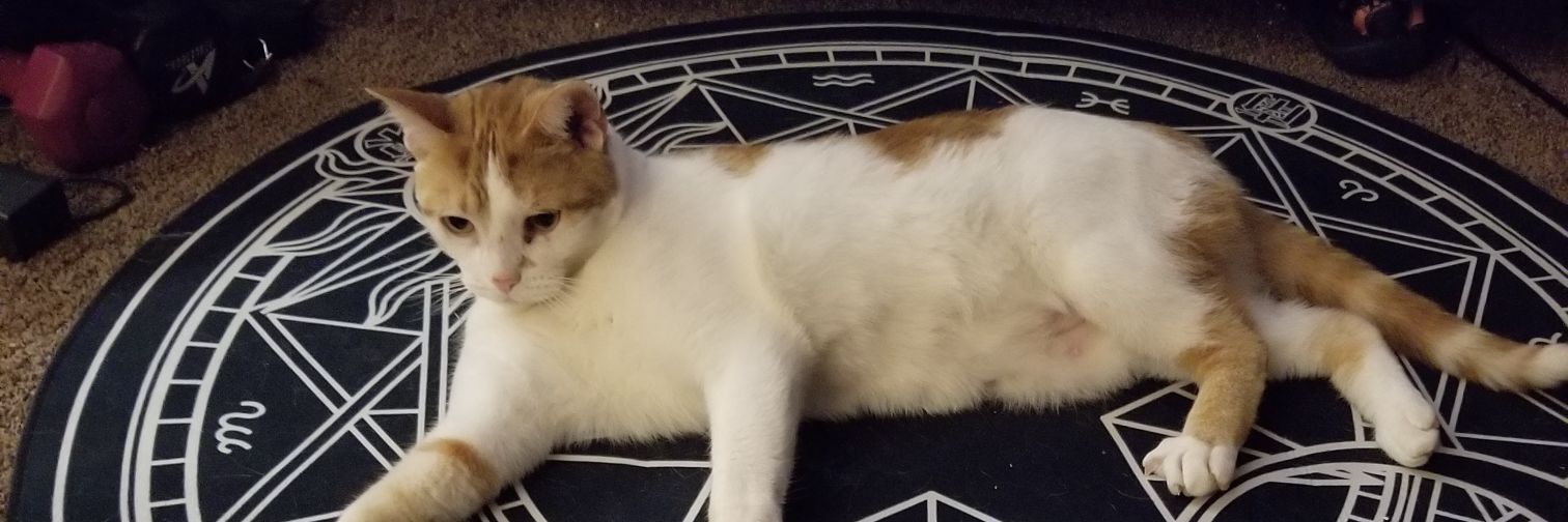 this_chick25's profile banner image