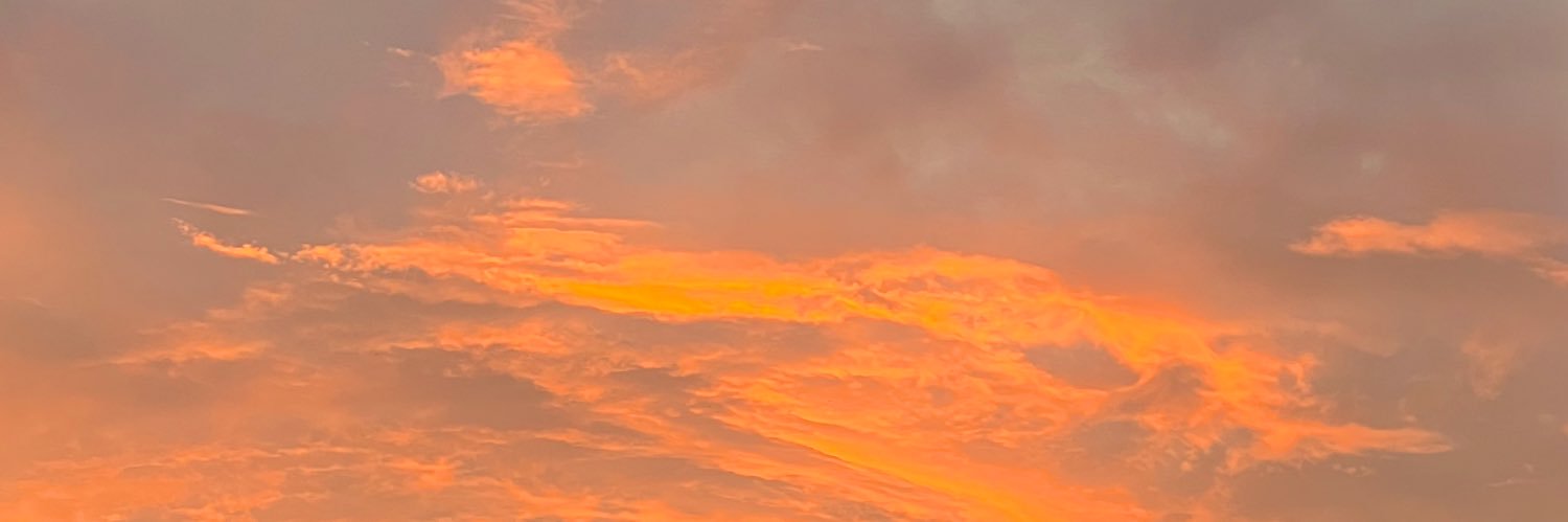 snid 🇵🇸 || banner