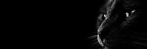 markmettal's profile banner image