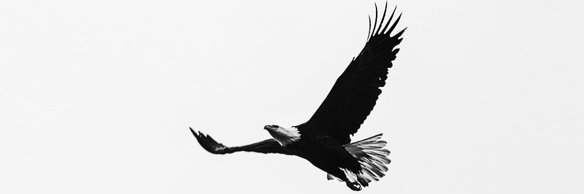 . banner