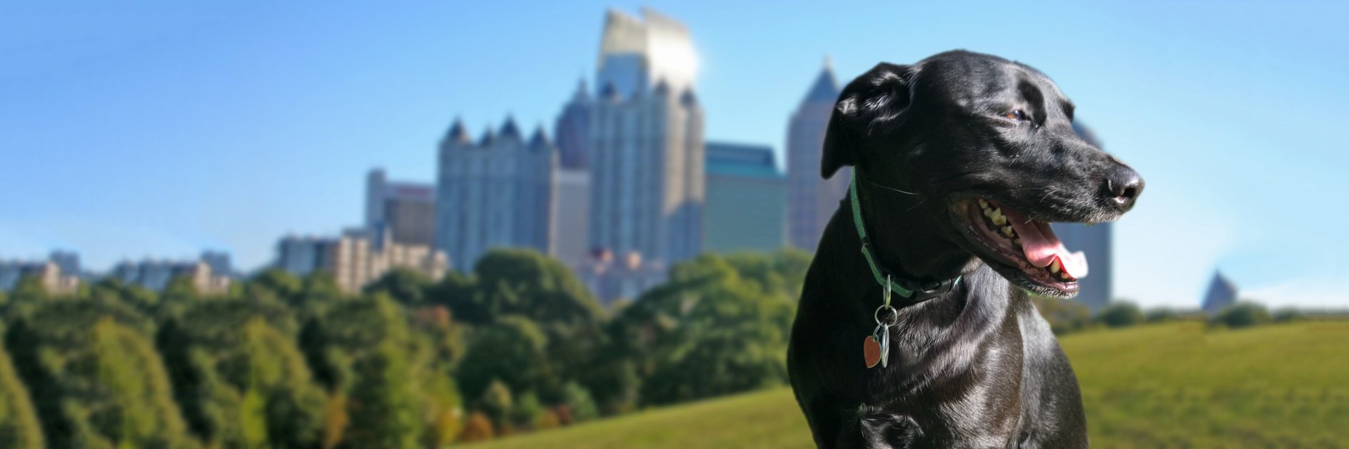 jfinleyk's profile banner image