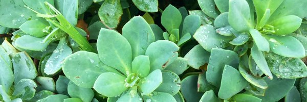 Lfournier33 Profile Banner