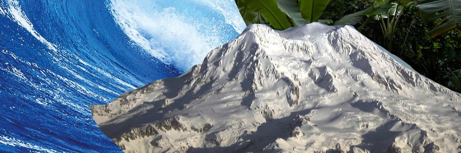 joe martin banner