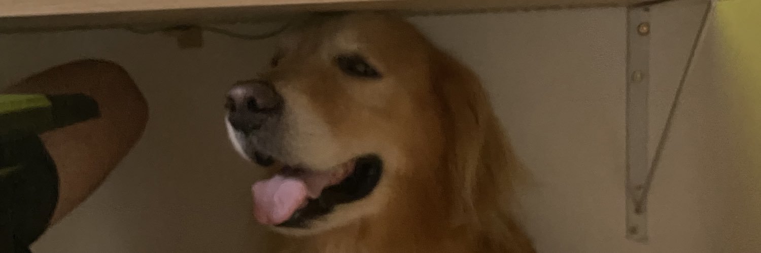 marcosfreire02's profile banner image