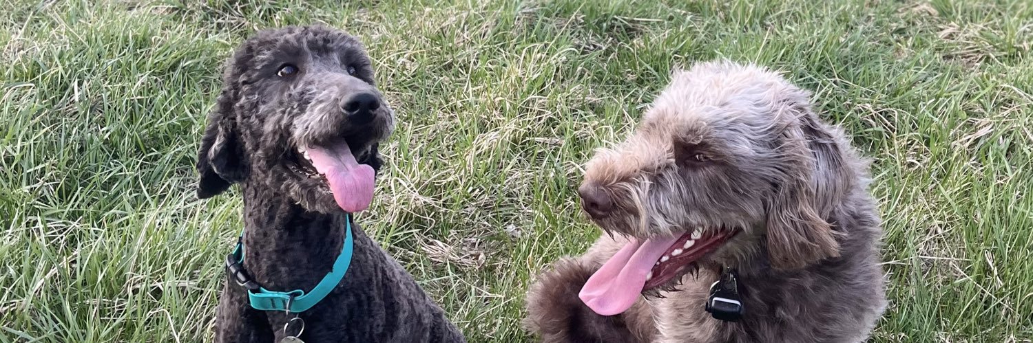 allison breeze banner