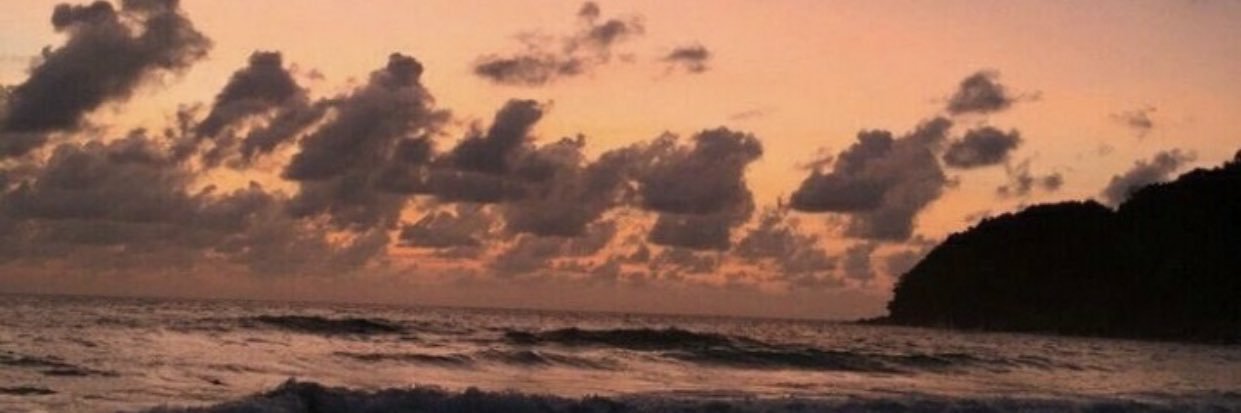 adri banner
