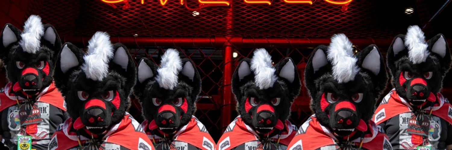 MilesSauber's profile banner image