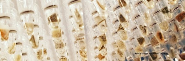 Epic4Coho Profile Banner