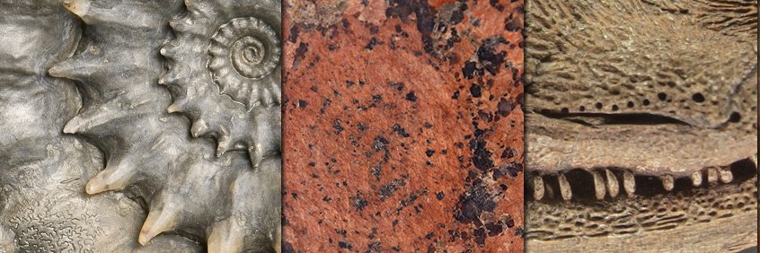 Geological Collections Group (GCG)'s banner