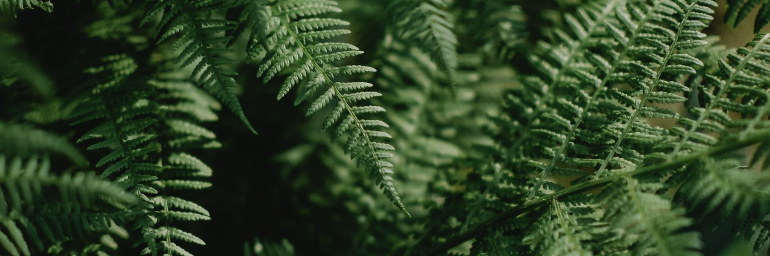 Sociedad Civil por la Acción Climática banner