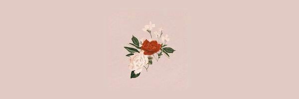 JimeCa's profile banner image
