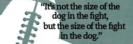 FZN 12th Man Football Club banner