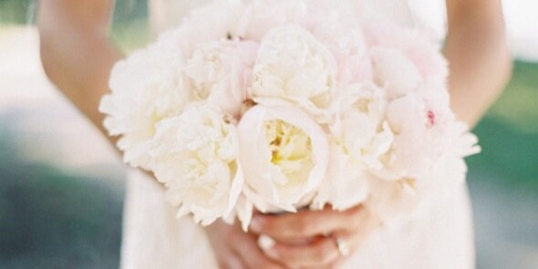 Little Black Book banner