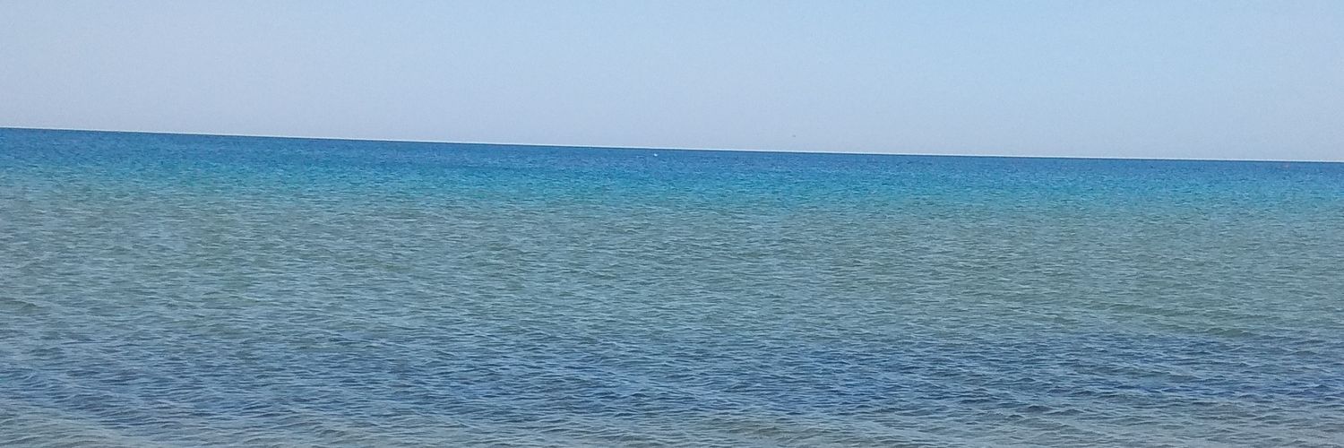pervinfiliz's profile banner image