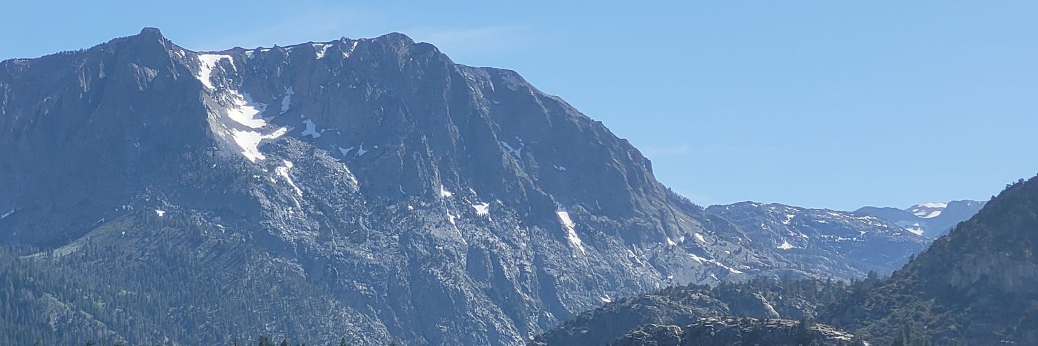 Nikk Ogasa's banner