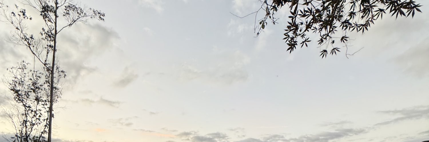 danirojas19's profile banner image