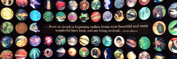 ShreyasMSurya Profile Banner