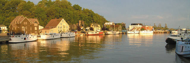 OnHarbour's profile banner image
