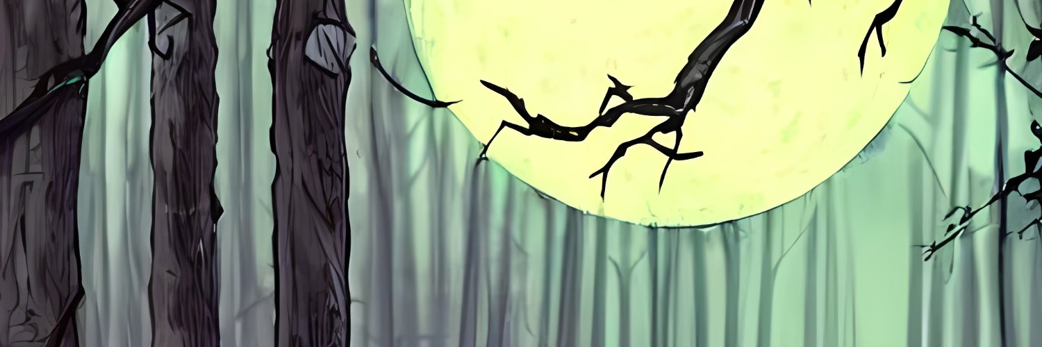 ShxnShinV's profile banner image