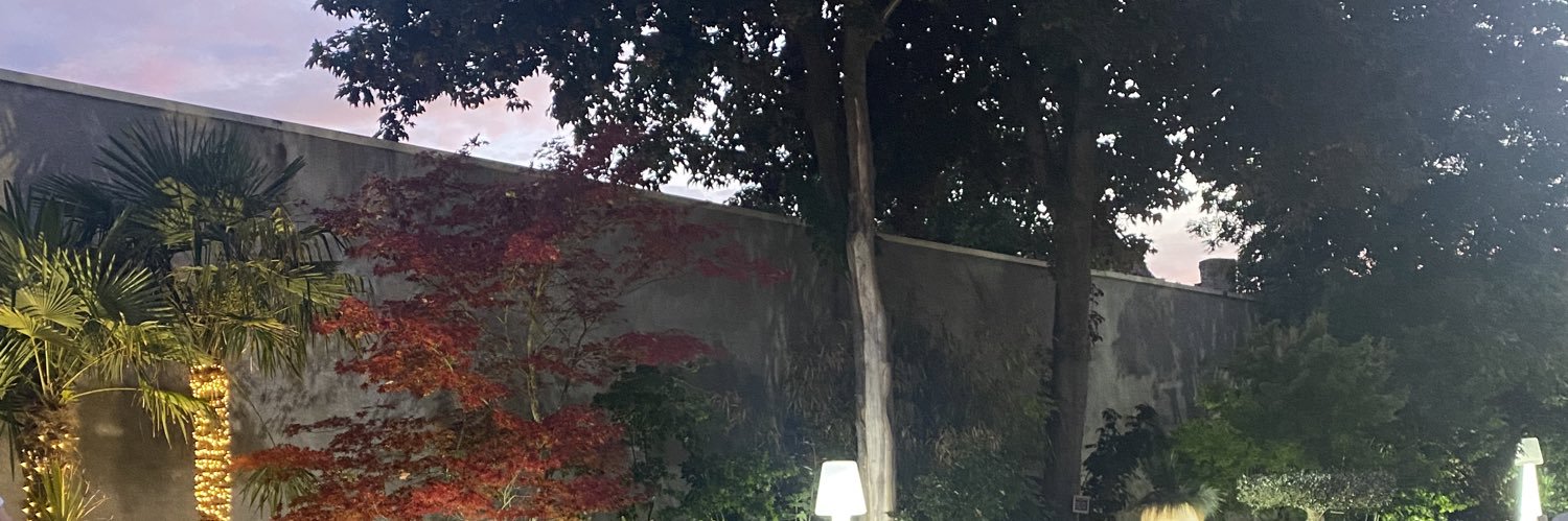 mvlduu's profile banner image
